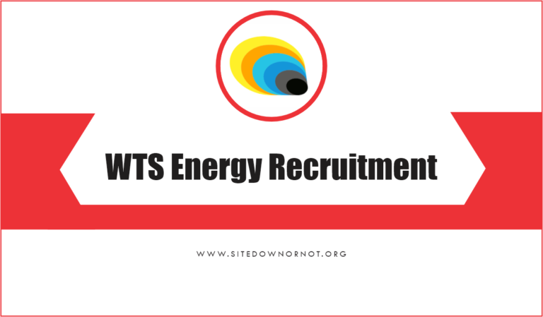 WTS Energy Recruitment 2025/2026 Application Form Portal